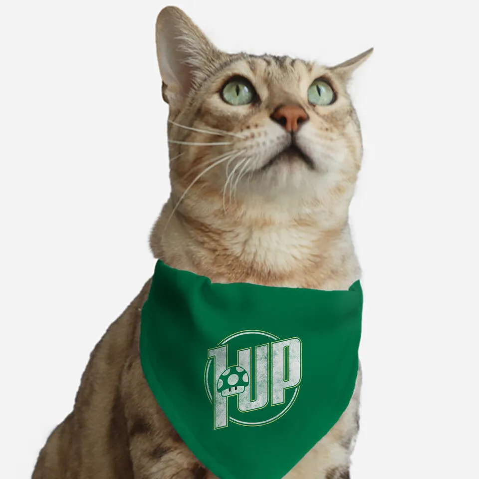 1 Up
