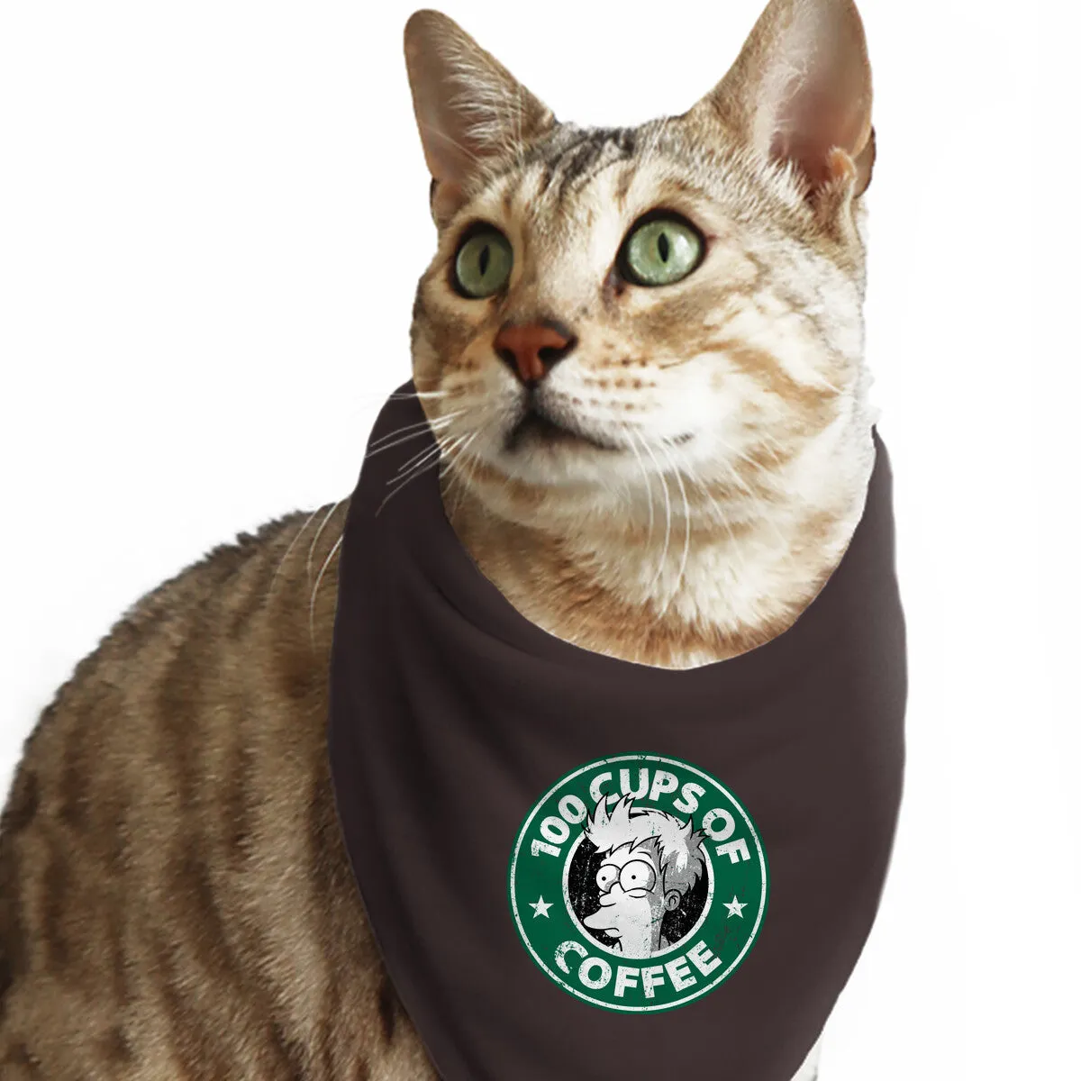 100 Cups of Coffee